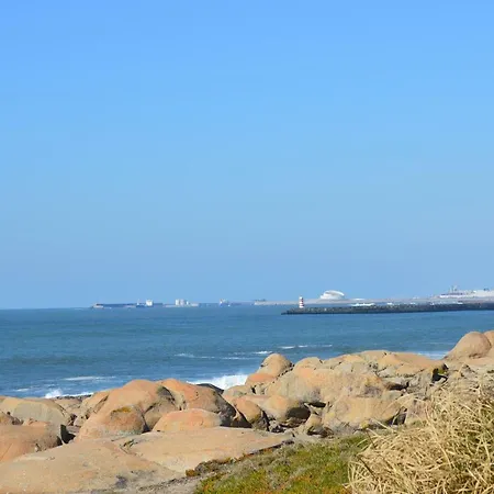 Pôr Do Sol Vila Nova de Gaia